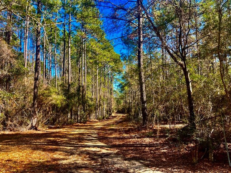 0318EEFE-4D1D-4C7E-82D2-447F46CAFF17_1_201_a