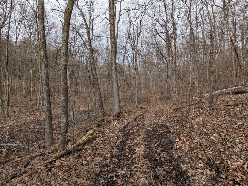 PXL_20230213_160454257