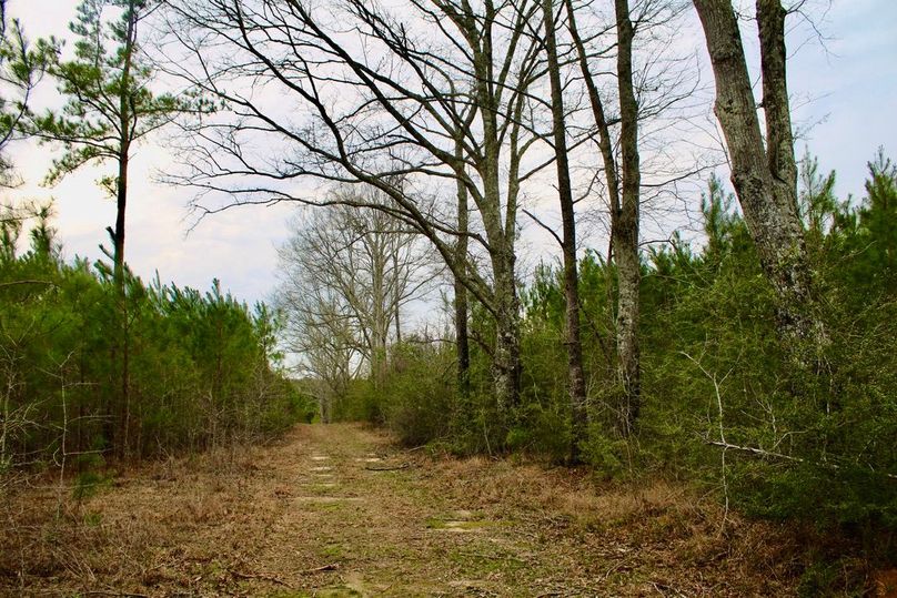 F27C0D5E-80A2-4464-BD1C-325B1E3A6D2C_1_105_c