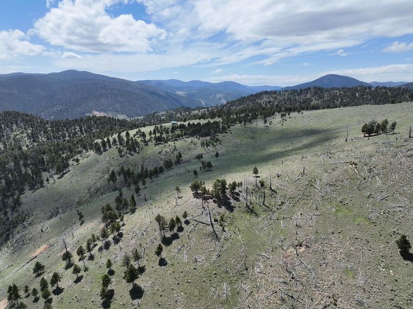 DJI_0340