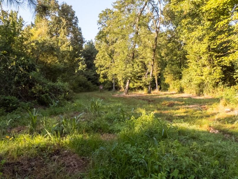 Ashley Co-40-Givens-42