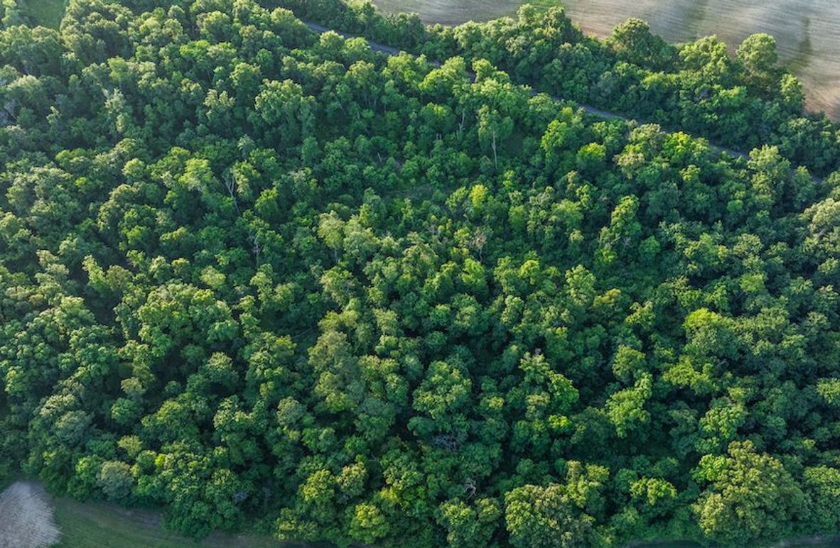 DJI_20260513063521_0012_D