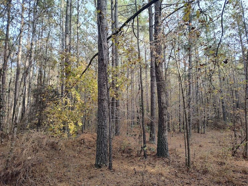 IMG_20251105_145653012_HDR