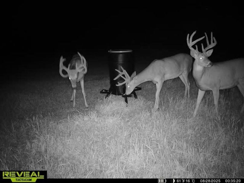 865509050128614-50-4-08282025003530-W1020693