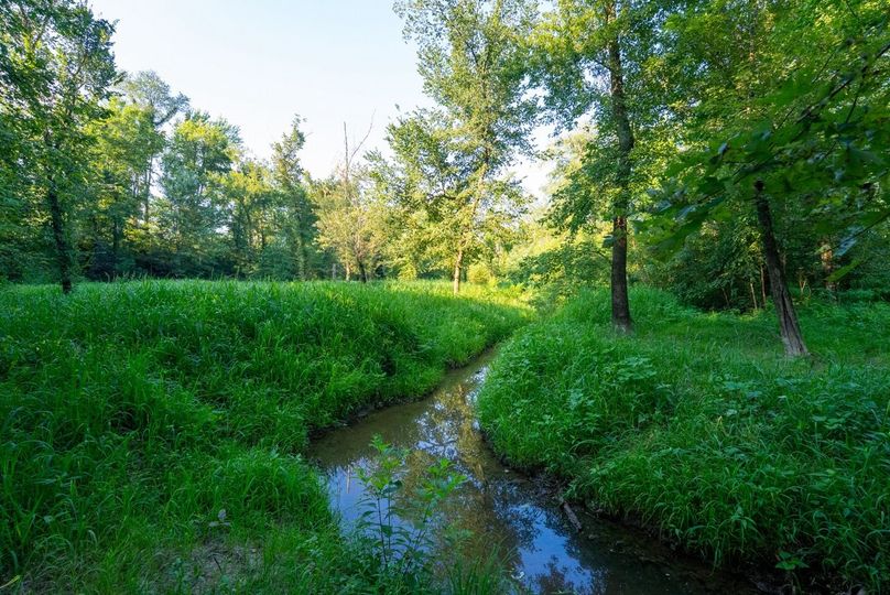 Copy of DSC06264 Large