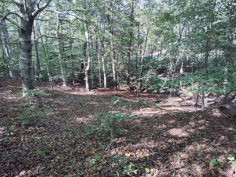 IMG_20231009_152750586