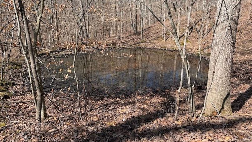 Butler 118 Capella17