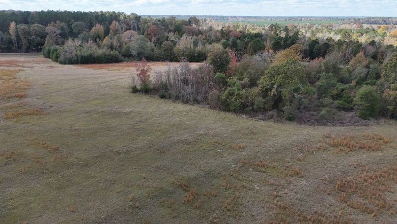 DJI_20251115021455_0875_D - Copy