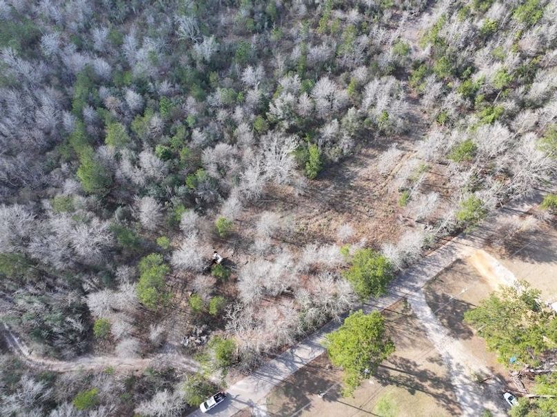 dji_fly_20260212_135630_0033_1771284252213_photo