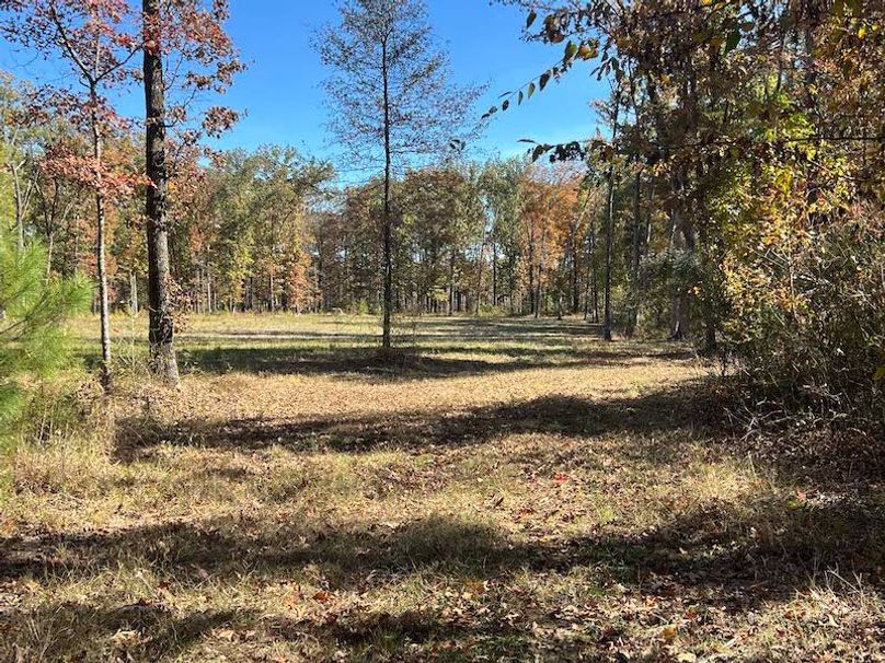 jeff 5020251111_0333