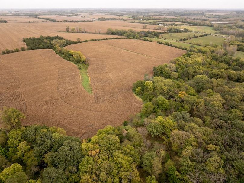 DJI_20251011101326_0114_D