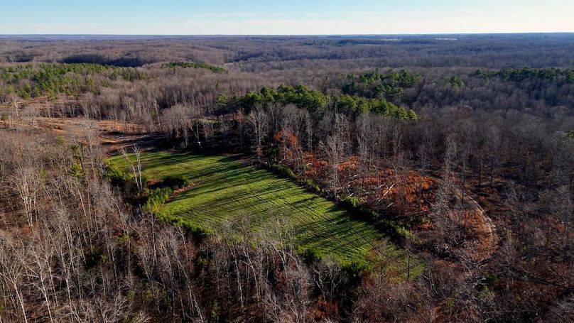 DRONE.00_03_52_21.Still011