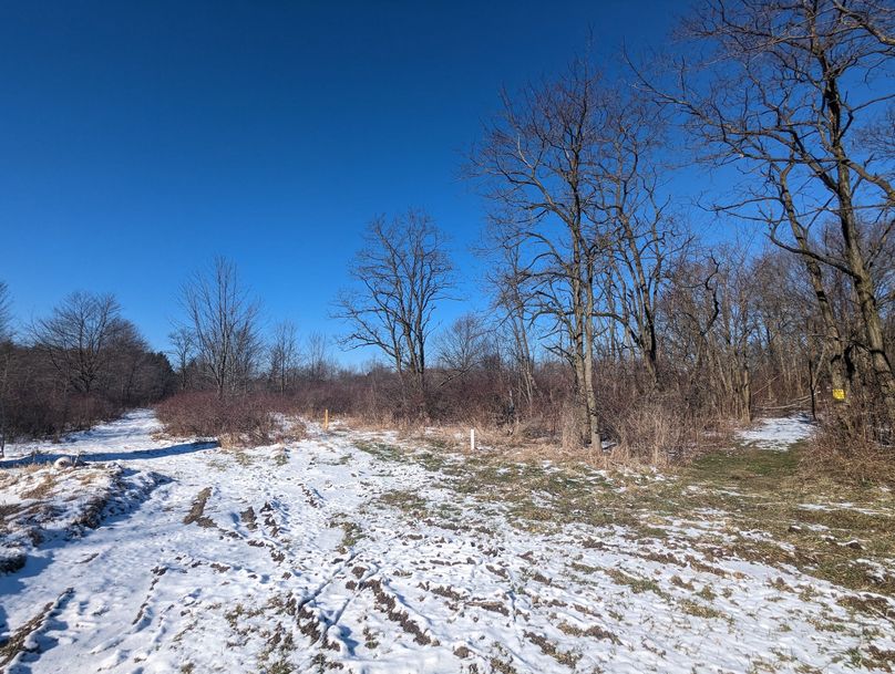 PXL_20230202_160540755