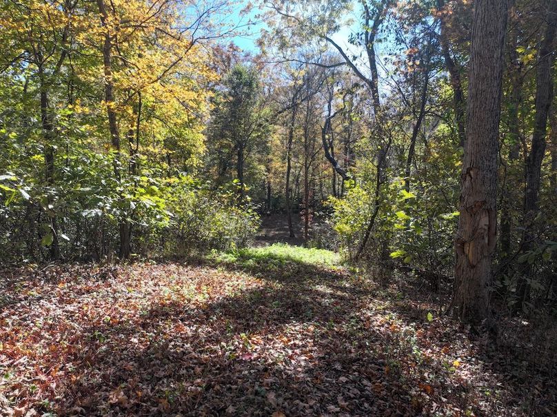 Copy of DJI_20251031134256_0792_D