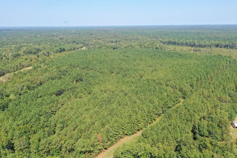 F99443D7-0CB4-4FDD-9FAF-25B1501F2CBB_1_105_c