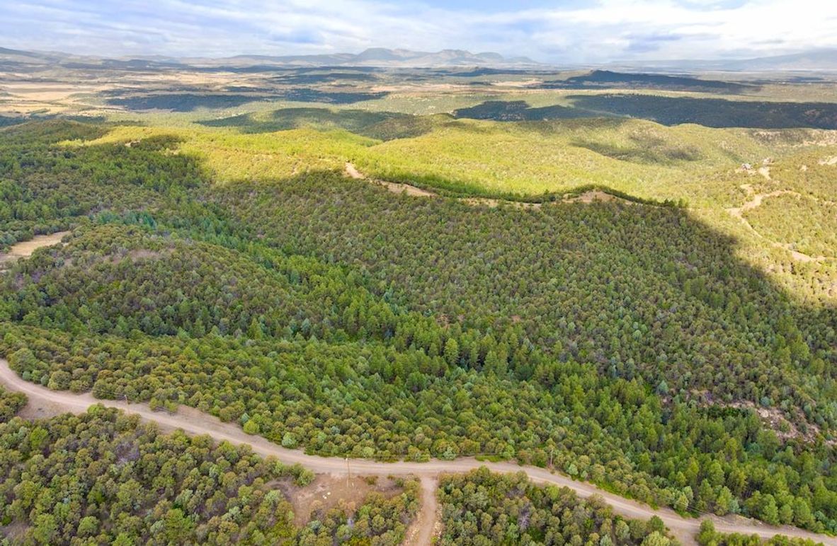 DJI_20250924102325_0008_D