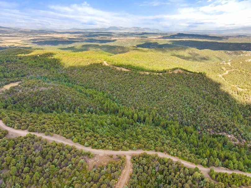 DJI_20250924102325_0008_D