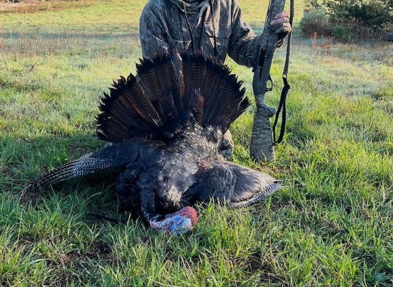 Screen Shot 2025-10-07 at 11.40.02 AM