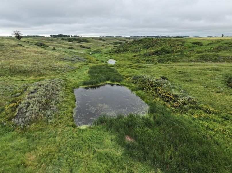 DJI_20250704133723_0614_D