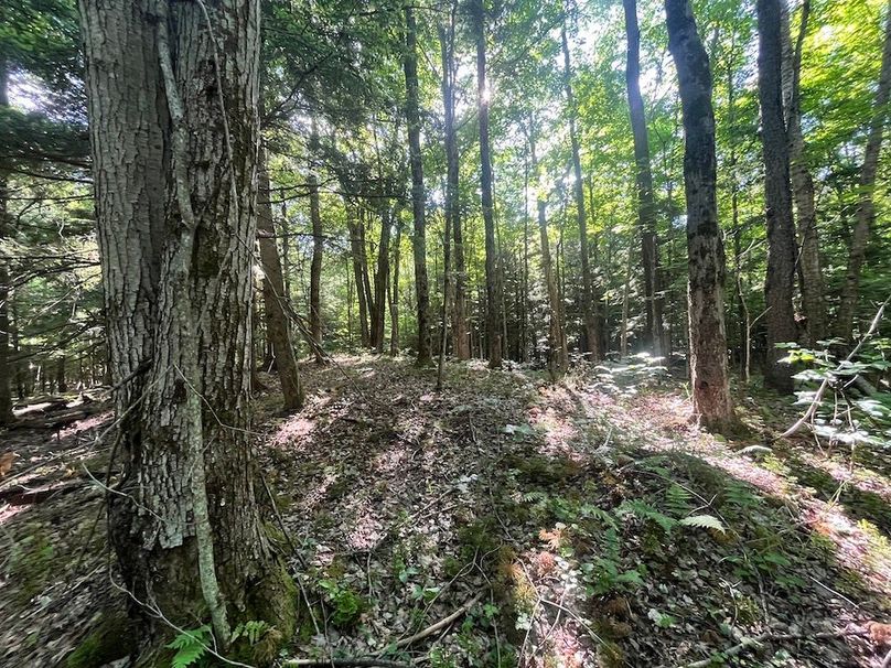 Jefferson_260.3_ Lobach_Photos_35