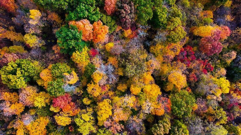 dji_fly_20251102_094812_0748_1762096000892_photo