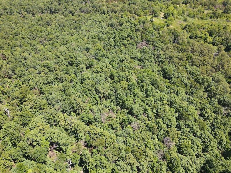 dji_fly_20260507_122434_743_1778174694352_photo