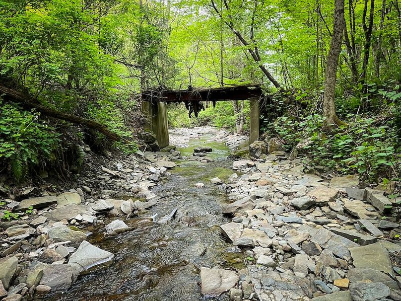 Tioga_78_Biada_Photos_100