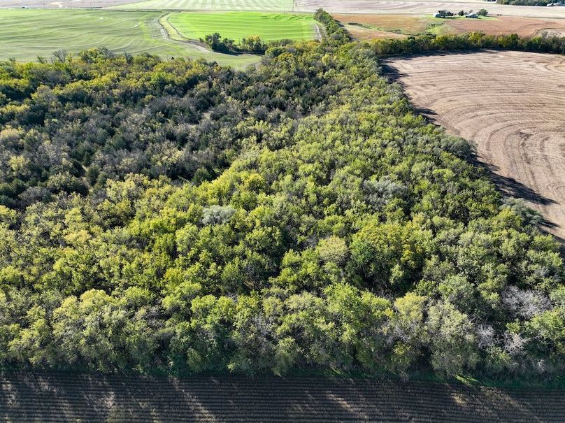 Dickinson Co, 154.5_027