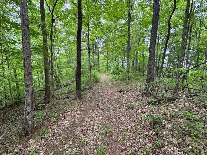 Pleasants, WV 168.59 AC Superior, Swank, Young-095
