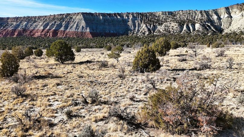 DJI_20241219101728_0056_D