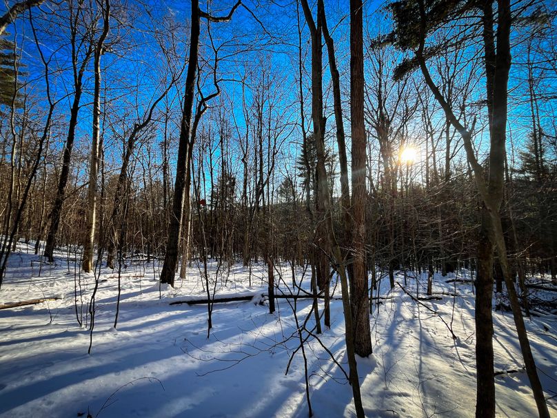 Tioga_11.9_Kilroy_Photos_24