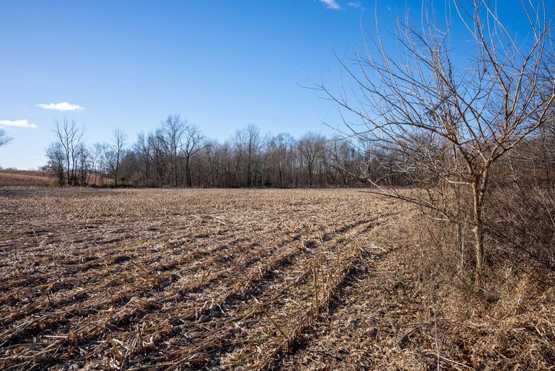 Copy of DSC00677 Large