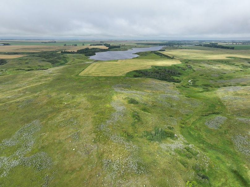 DJI_20250704141301_0628_D