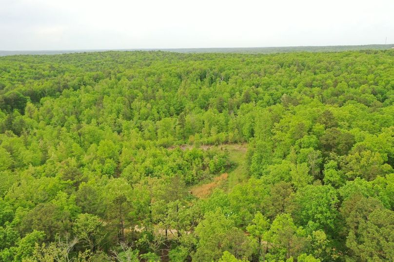 DJI_0805
