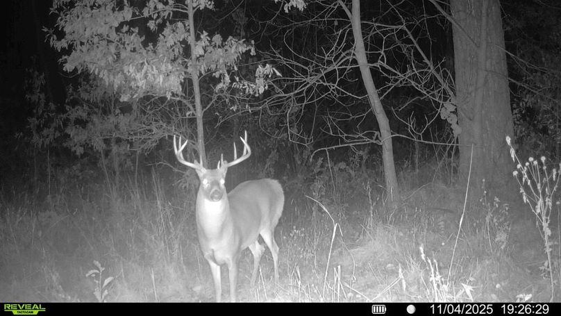 016578000207826-92-2-11042025200340-HD-SYFW03320