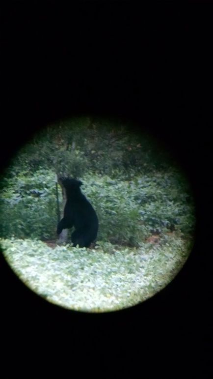 IMG_20170729_200730064