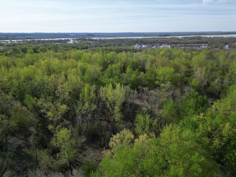 DJI_0245