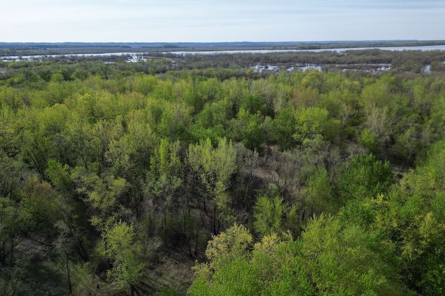 DJI_0245