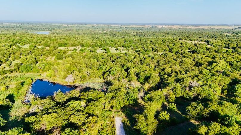 dji_fly_20250728_075934_0043_1753739705933_photo