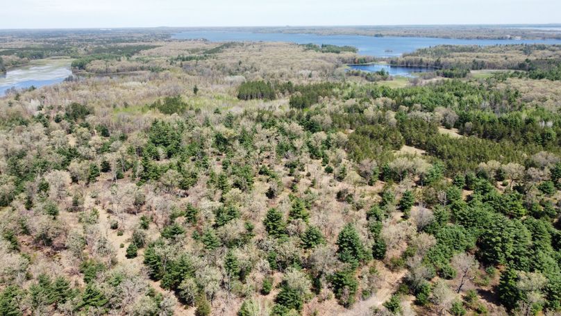 dji_fly_20230511_113608_434_1683838326987_photo_optimized