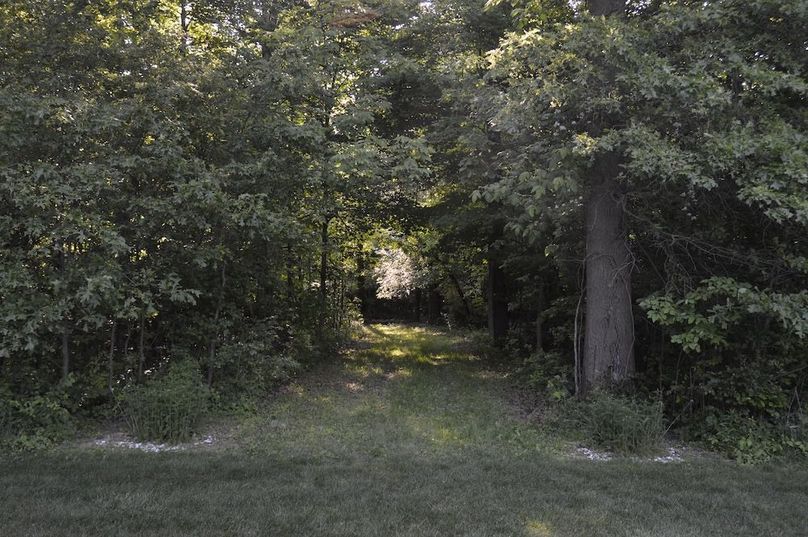 Trail to woods from backyard