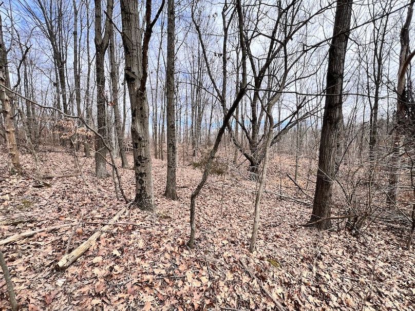 I29