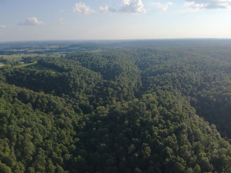 DJI_20250806185420_0014_W