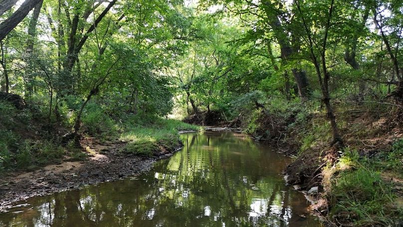 DJI_20250717100641_0077_D