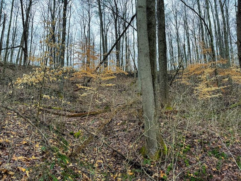 Ritchie, WV 64 AC Hall New Pics-09