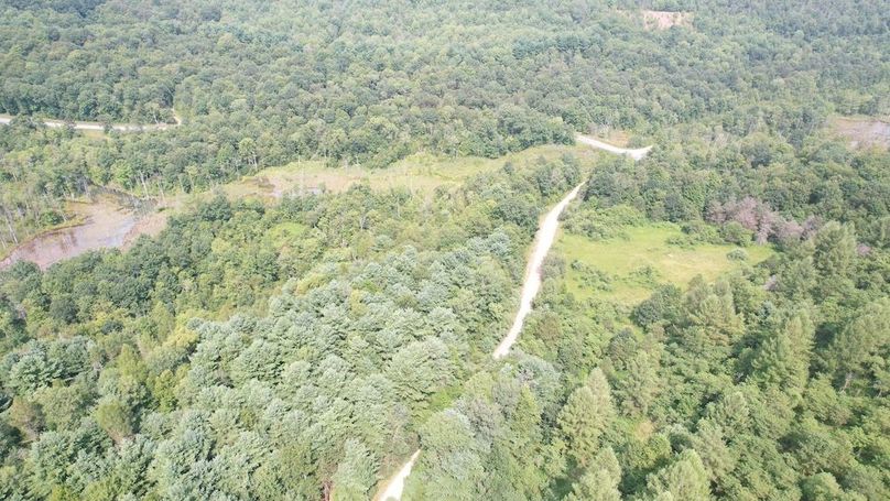 dji_fly_20250804_153256_496_1754355812363_photo