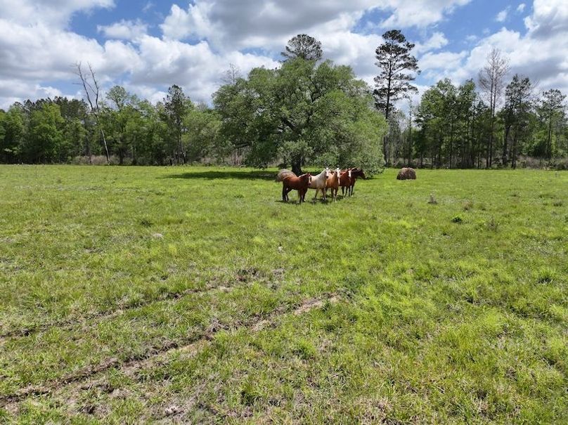 dji_fly_20260414_103544_0086_1776201092692_photo