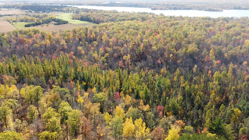 dji_fly_20231015_145026_150_1697399538000_photo_optimized