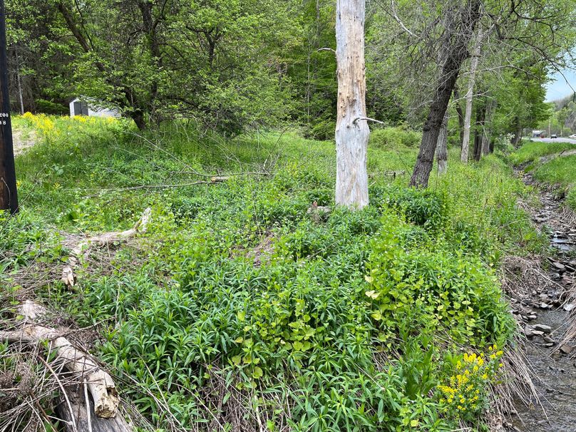 Tioga_18.72_Coulson Photo 30