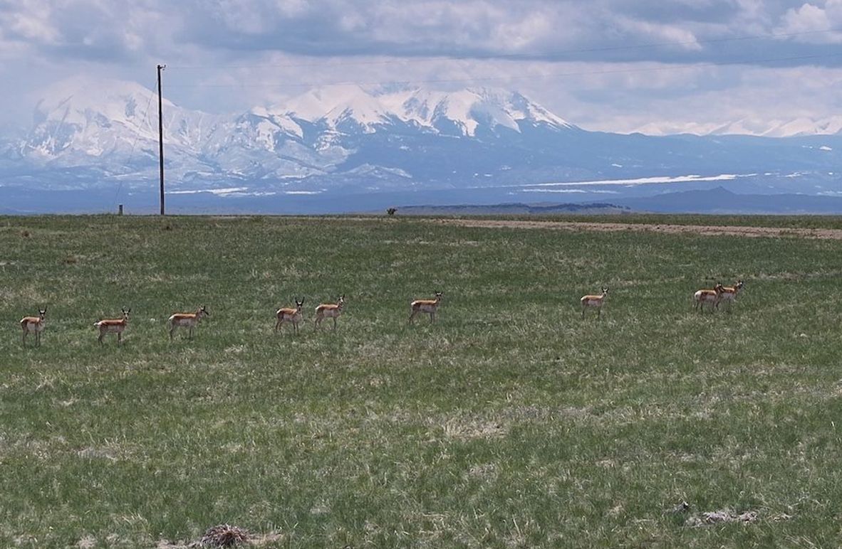 DJI_20250508135416_0009_D